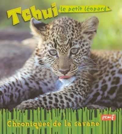 Tchui, le petit léopard