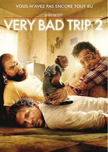 Very bad trip 2